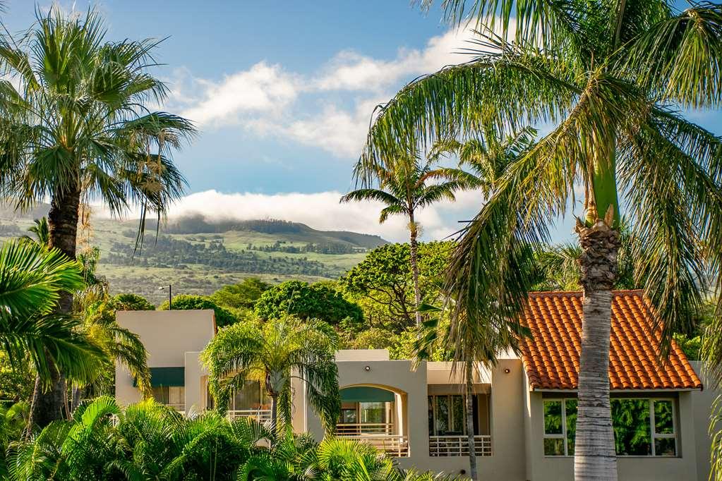 Ferienwohnung Palms At Wailea Exterior foto